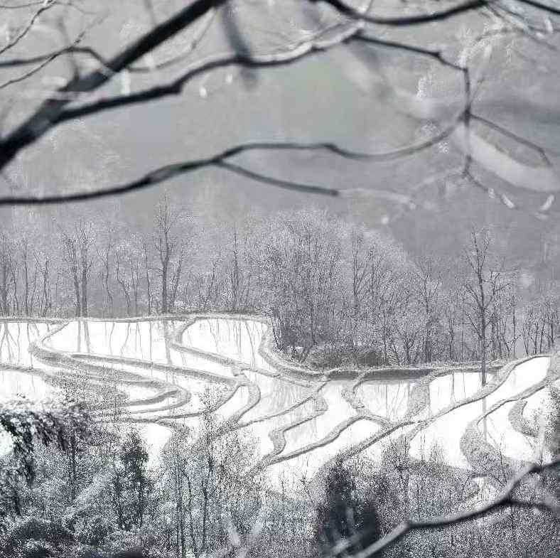 湖南张家界旅游景点（张家界必去景点！）-第6张图片