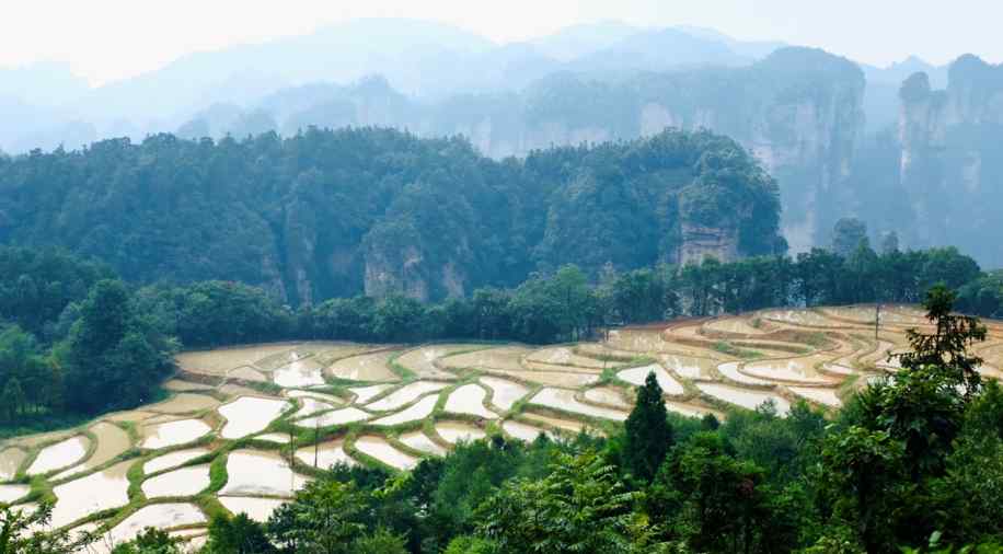 湖南张家界旅游景点（张家界必去景点！）-第8张图片