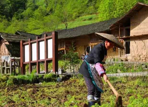 湖南张家界旅游景点（张家界必去景点！）-第14张图片