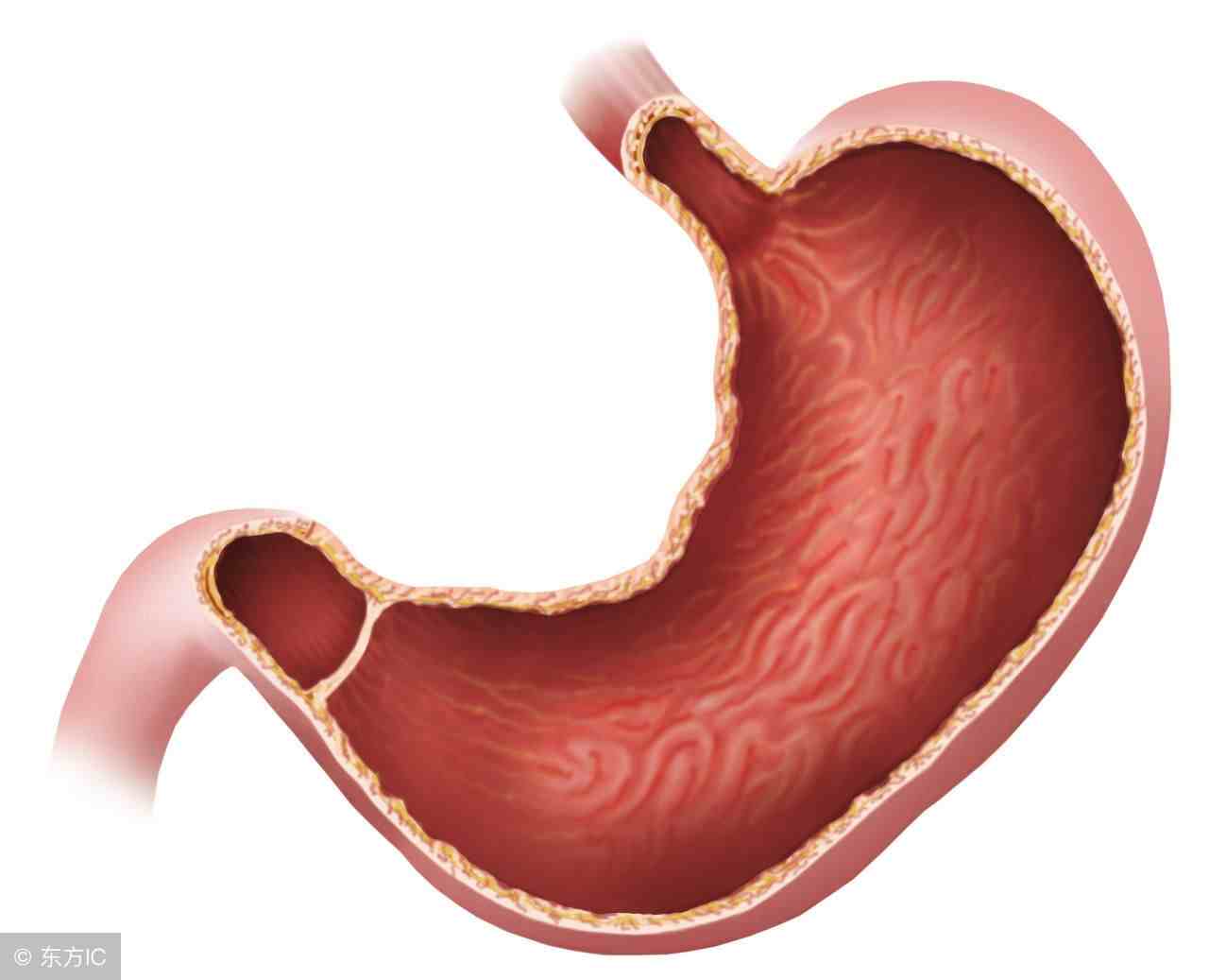 胃窦炎如何治疗（如何有效预防胃窦炎）-第1张图片