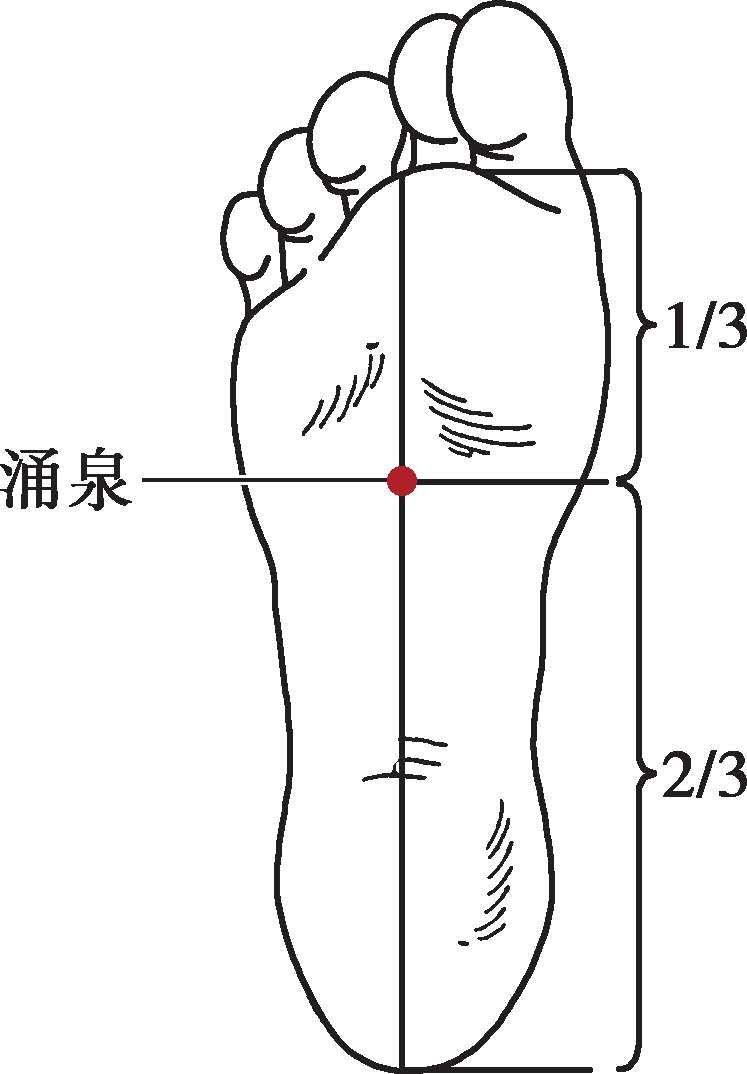 涌泉穴位位置图！（平肝熄风通络止痛类 百会—涌泉！）-第2张图片