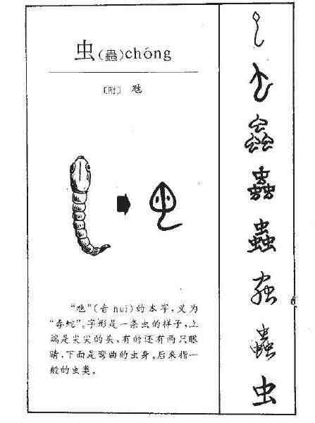 虫字旁的字有哪些（汉语中带虫字旁的字词）-第1张图片