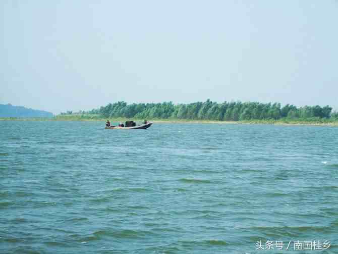 中国四大淡水湖（我国四大淡水湖分别是什么）-第3张图片