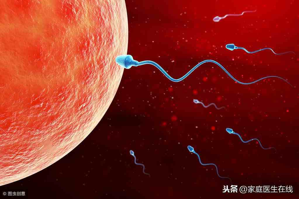 排卵期出血是什么原因造成的（排卵期出血还能备孕吗）-第2张图片