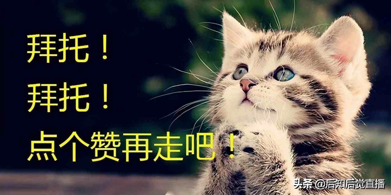 上市公司有哪些（券商上市公司有哪些）-第1张图片