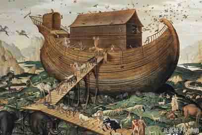 诺亚方舟是什么意思（大家常说的“诺亚方舟”到底是什么）-第1张图片