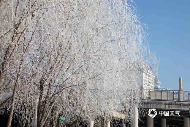 吉林松花江畔迎来新年首场雾凇（雾凇最佳观赏时间和路线）-第2张图片