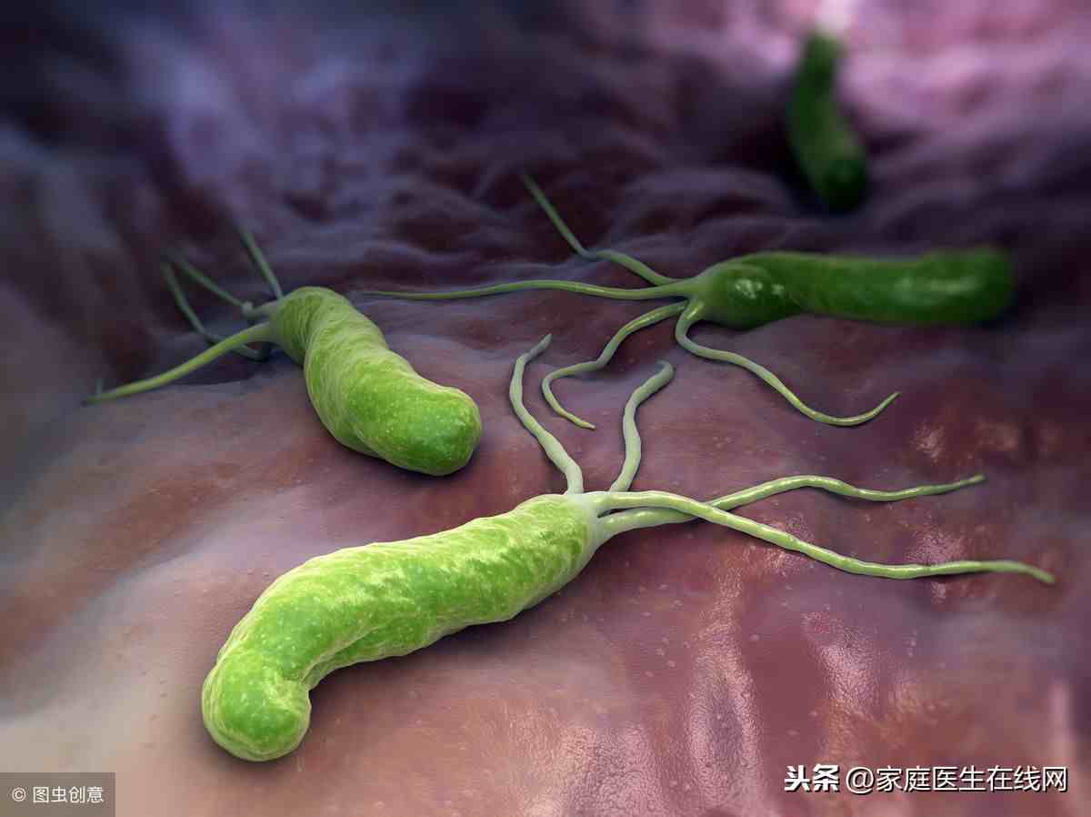 幽门螺杆菌会传染吗（如何才能避免传染幽门螺杆菌）-第1张图片