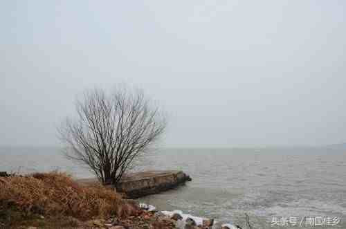 中国四大淡水湖（我国四大淡水湖分别是什么）-第5张图片