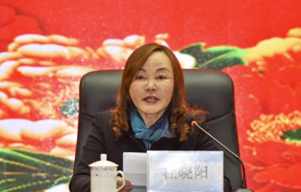 两针30万,50万臀部整形,女贪官的“美容腐败”有多令人咋舌?-第21张图片 两针30万,50万臀部整形,女贪官的“美容腐败”有多令人咋舌?-第21张图片