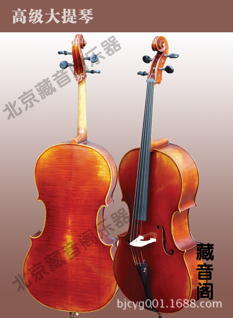 大提琴价格(适合女孩学的乐器排行)-第1张图片