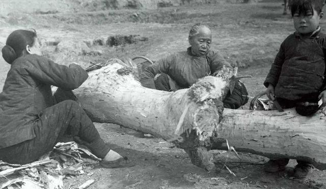 1942年河南大饥荒历史事件背景（大饥荒饿死人的原因）-第5张图片