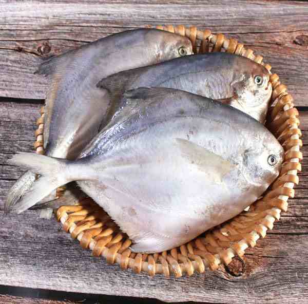 厄瓜多尔冷冻鲳鱼检出新冠病毒-第2张图片