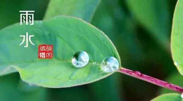 雨水节气的由来-雨水节气是怎么来的-第1张图片