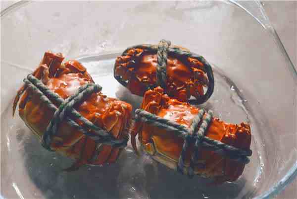 活螃蟹怎么保存（小妙招，存放5天都鲜活）-第2张图片