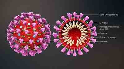 冷链条件下新冠病毒可存活3周-零下20℃新冠病毒可存活20年？-第3张图片
