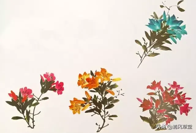 花的画法（史上最全花卉画法）-第15张图片