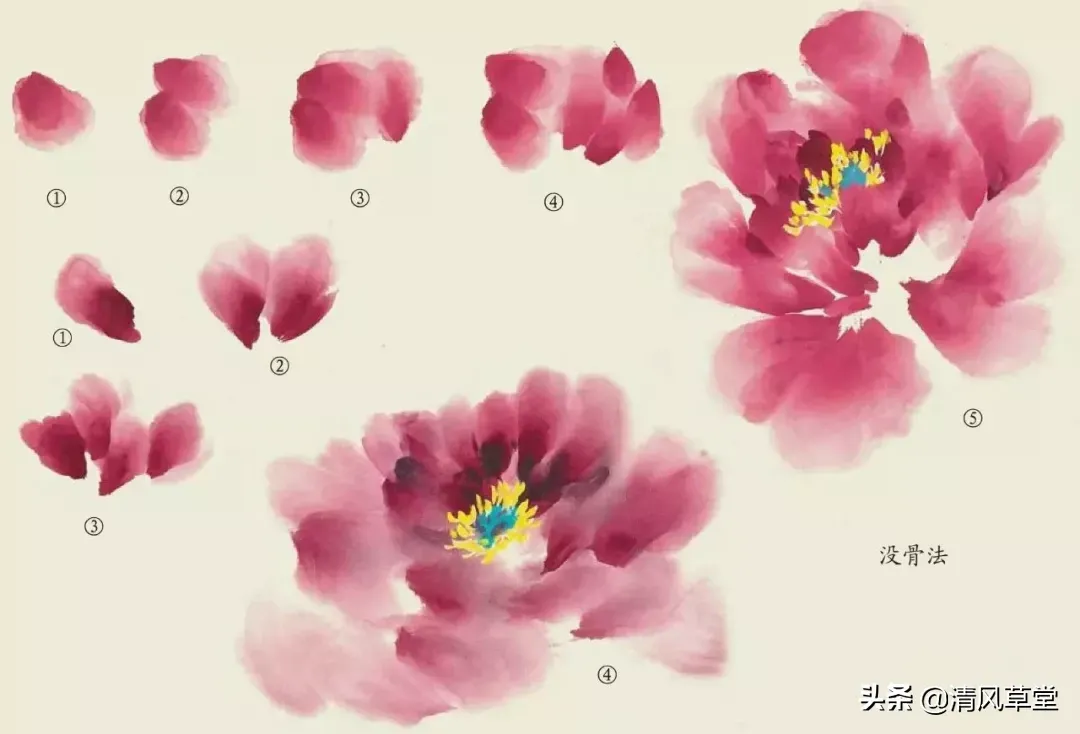 花的画法（史上最全花卉画法）-第30张图片