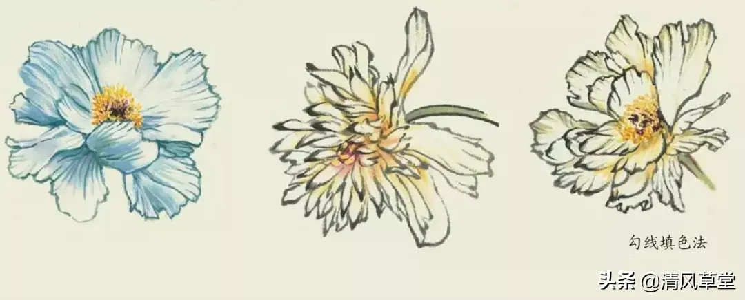 花的画法（史上最全花卉画法）-第29张图片