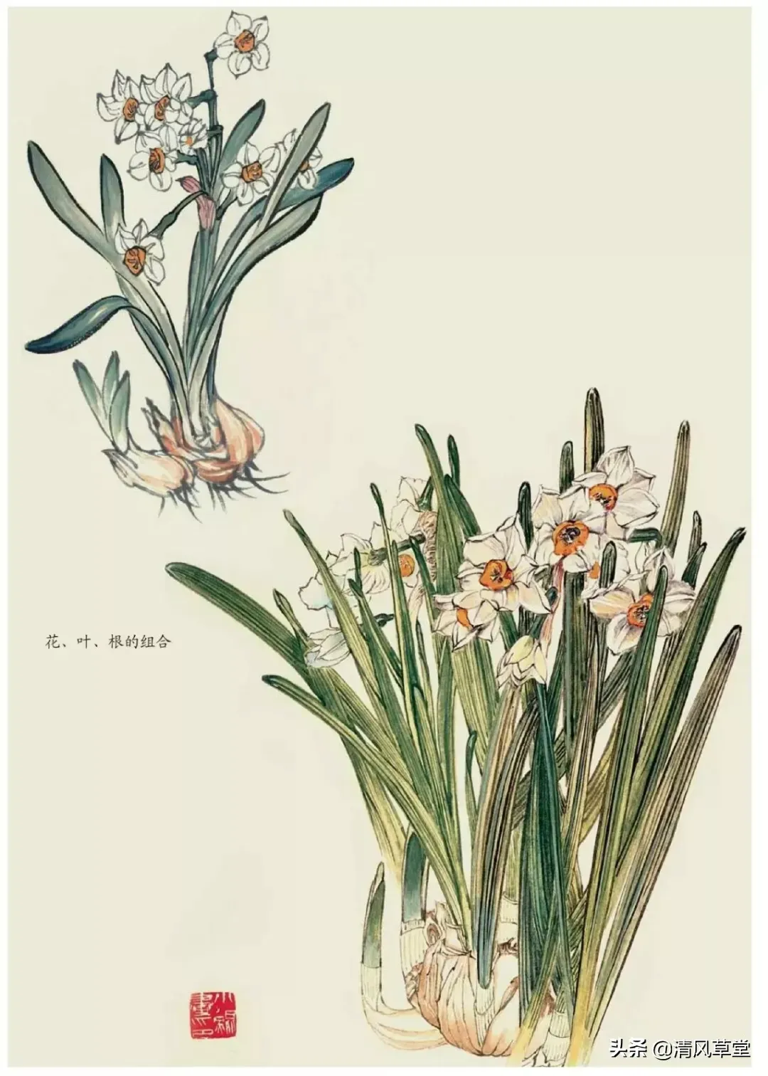 花的画法（史上最全花卉画法）-第40张图片