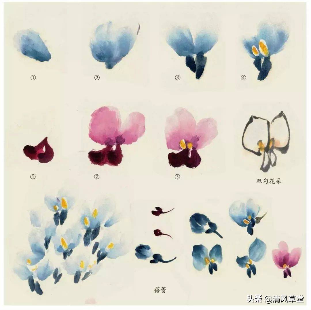花的画法（史上最全花卉画法）-第54张图片