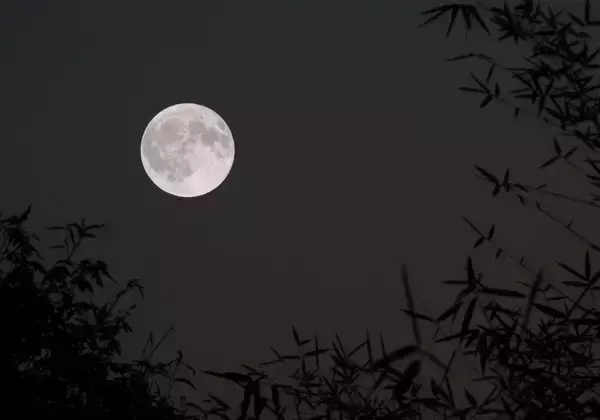 关于月亮的诗句（30首与月亮有关的诗词）-第4张图片
