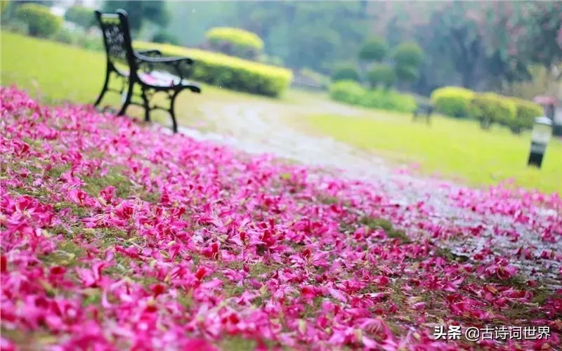 关于花的诗（七首写花的经典古诗词）-第9张图片