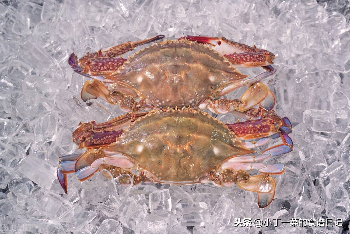 螃蟹如何保存（螃蟹买多吃不完怎么保存？）-第5张图片