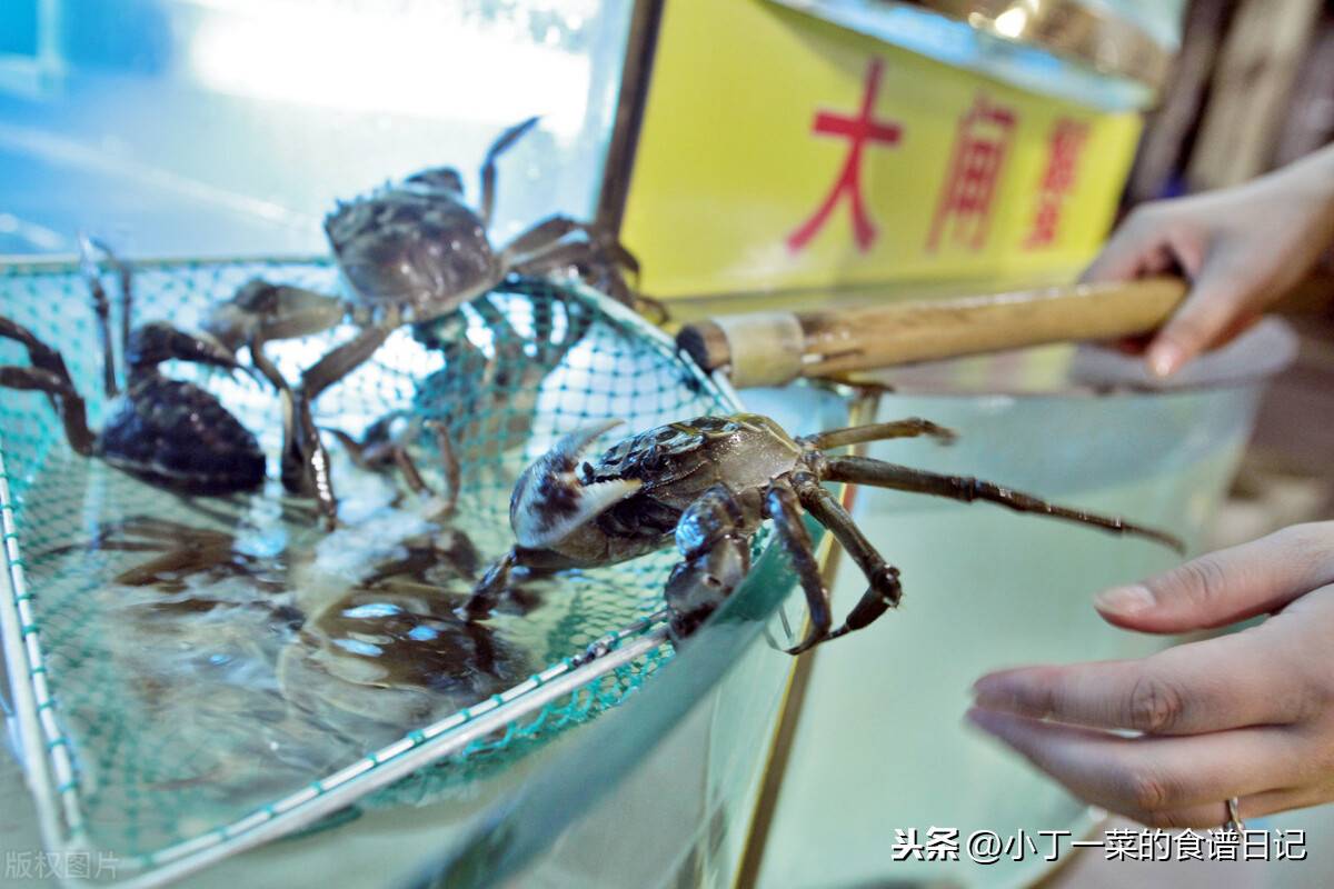 螃蟹如何保存（螃蟹买多吃不完怎么保存？）-第8张图片