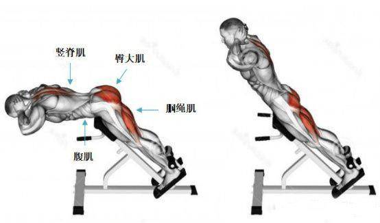 锻炼肌肉的方法（如何快速增长肌肉？）-第9张图片