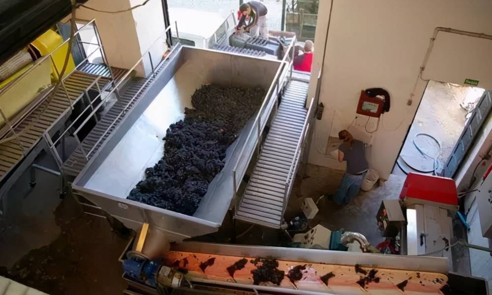 红葡萄酒的酿制方法（红葡萄酒是如何酿造的）-第11张图片