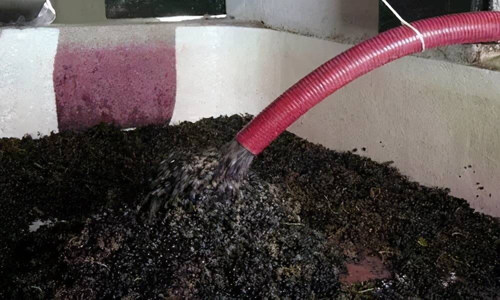 红葡萄酒的酿制方法（红葡萄酒是如何酿造的）-第12张图片