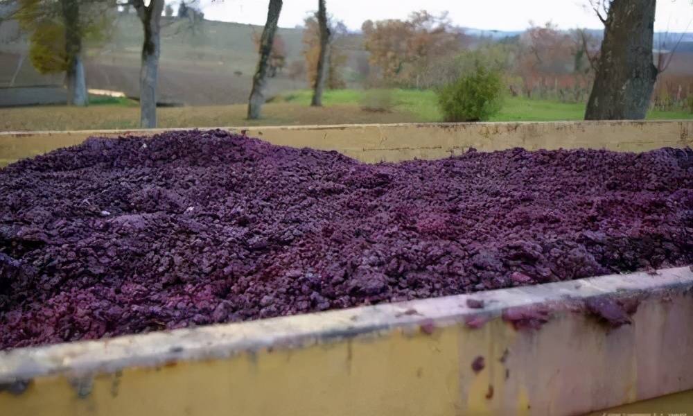 红葡萄酒的酿制方法（红葡萄酒是如何酿造的）-第23张图片