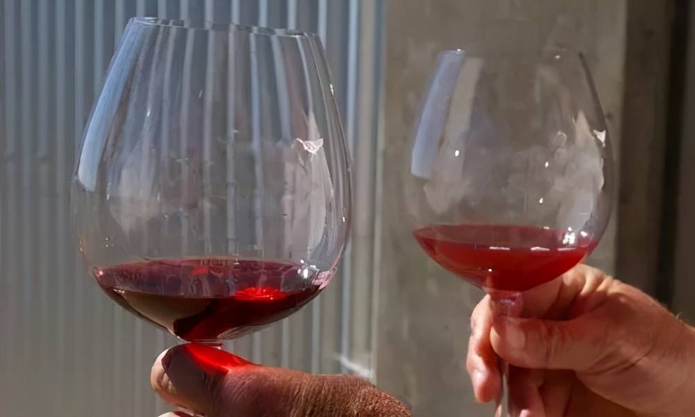 红葡萄酒的酿制方法（红葡萄酒是如何酿造的）-第30张图片