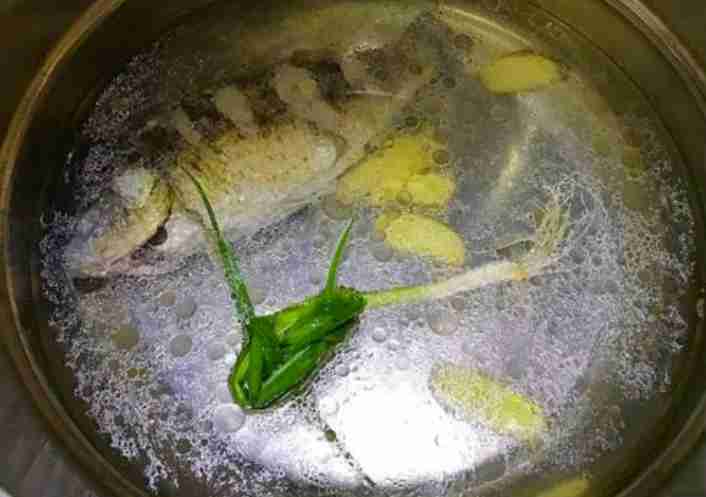 清炖鱼汤的做法（清炖鱼怎么做才不腥？）-第6张图片