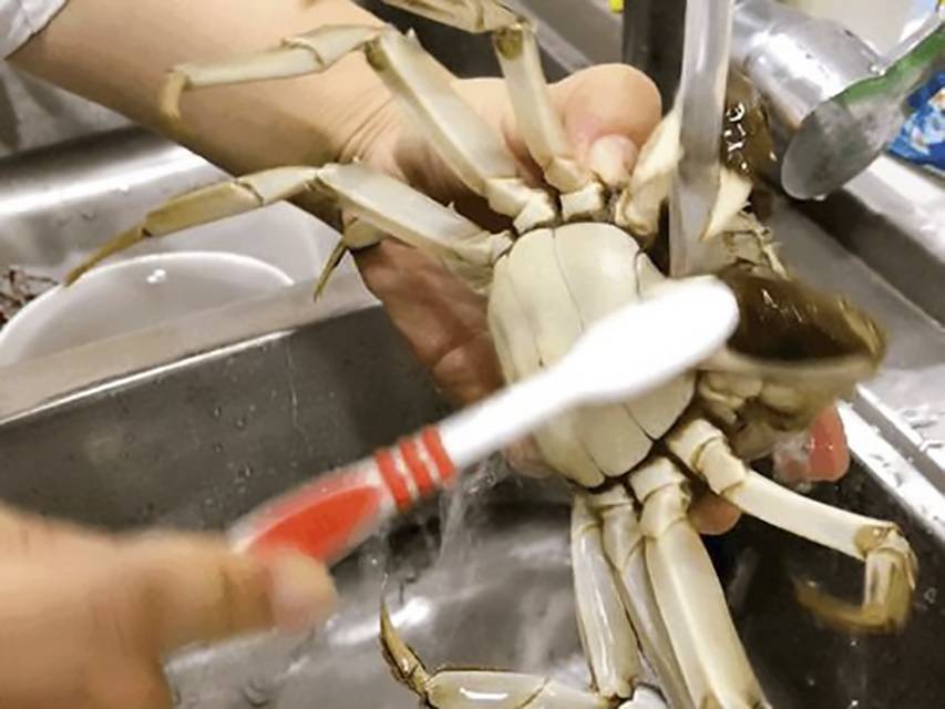 螃蟹的做法清蒸（这才是清蒸螃蟹的正确做法）-第6张图片