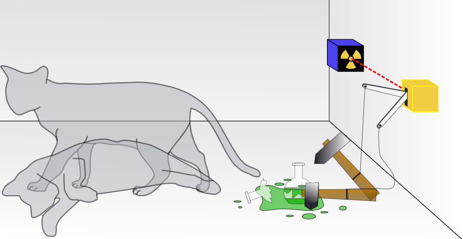 薛定谔的猫什么意思（薛定谔的猫是指什么？）-第7张图片