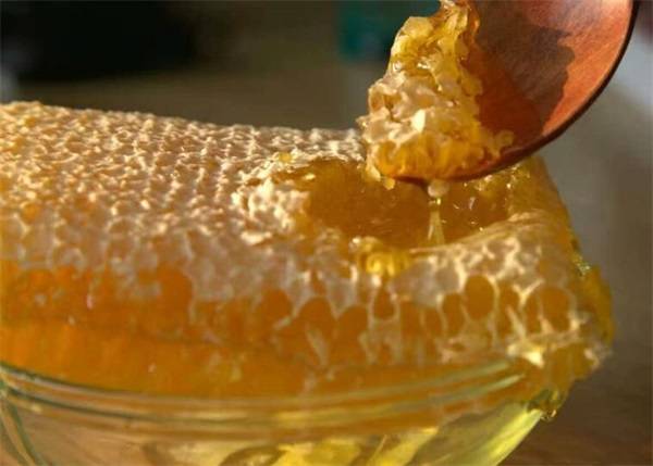 蜂巢素怎么吃（带蜂巢的蜂蜜怎么吃?）-第1张图片
