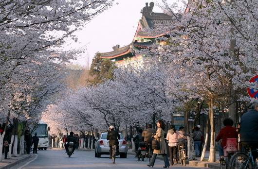 南京灵谷寺（江苏省南京十大著名寺庙排名榜）-第2张图片