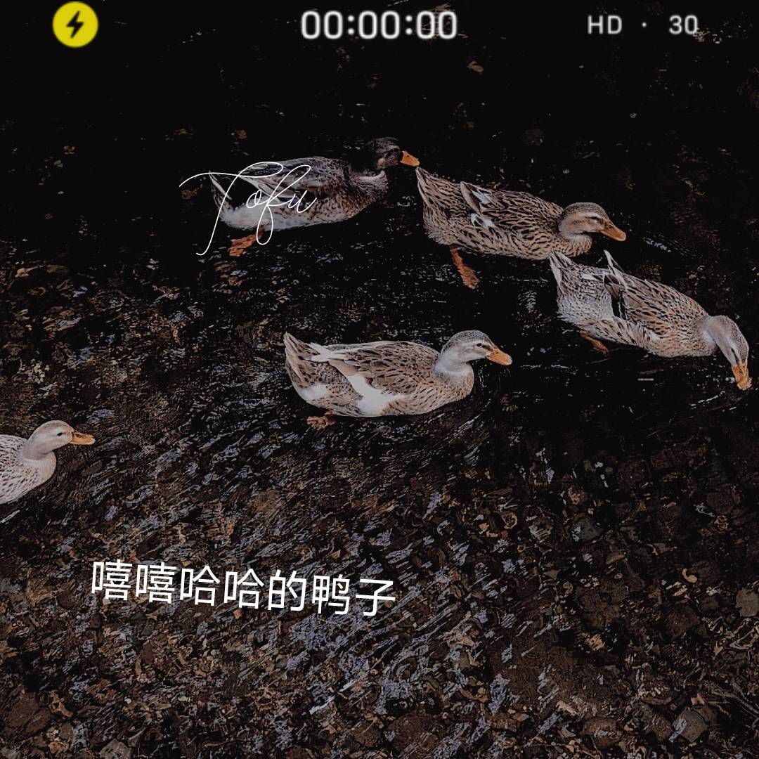 杭州千岛湖旅游攻略（千岛湖初秋旅游攻略！）-第2张图片