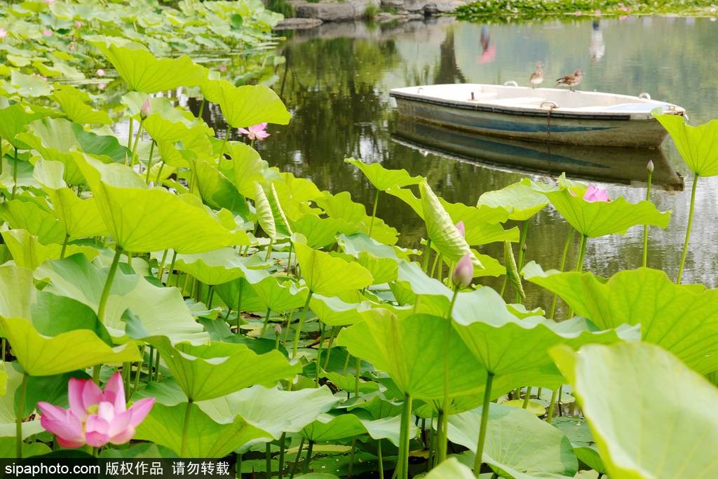 北京到北京西地铁多久(地铁出北京西站走多远)-第2张图片 北京到北京西地铁多久(地铁出北京西站走多远)-第2张图片
