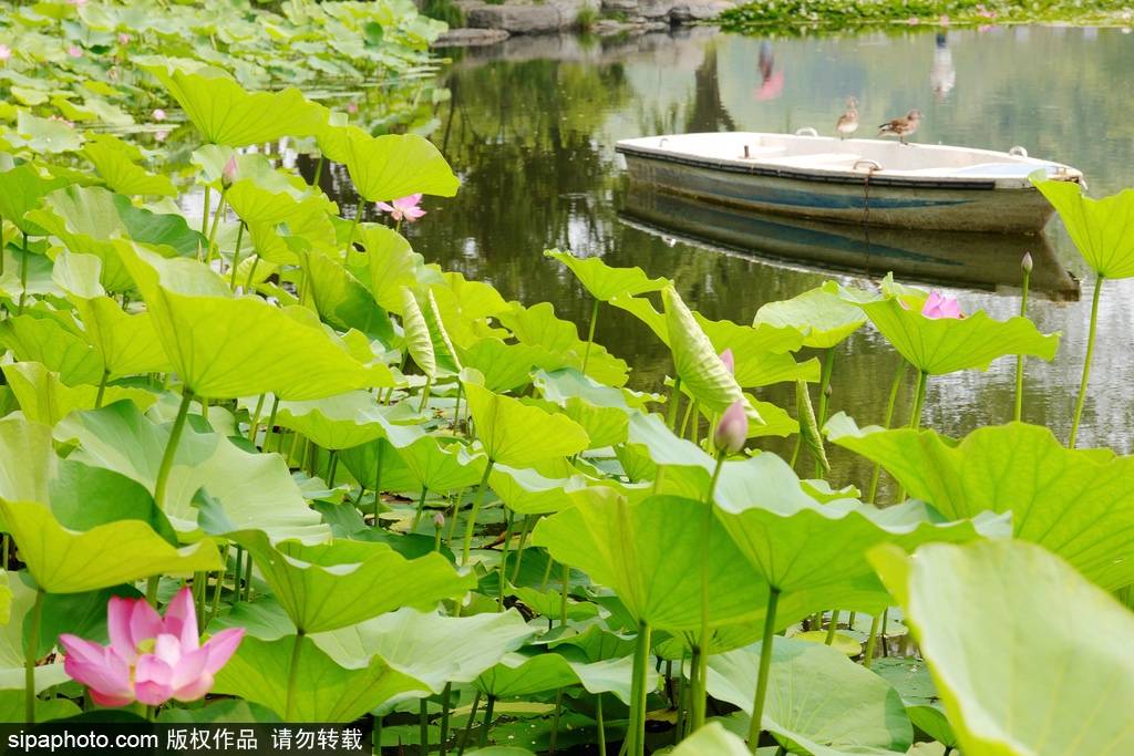 北京到北京西地铁多久(地铁出北京西站走多远)-第2张图片