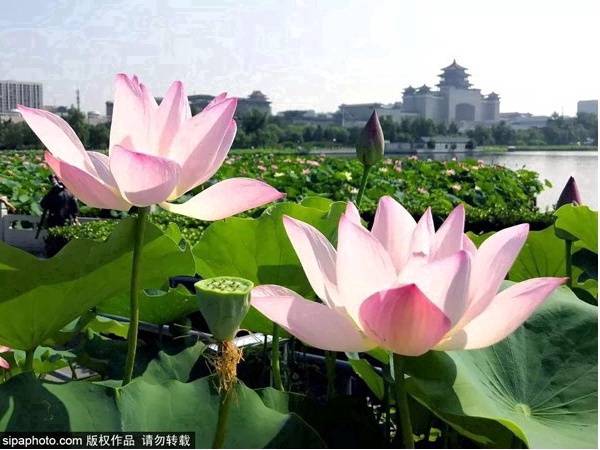 北京到北京西地铁多久(地铁出北京西站走多远)-第27张图片 北京到北京西地铁多久(地铁出北京西站走多远)-第27张图片
