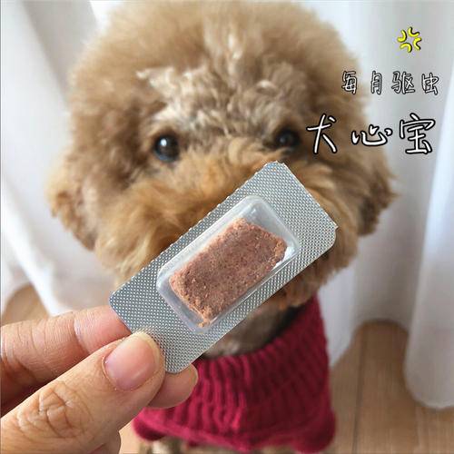 狗狗驱虫多久一次(驱虫一般几天能去干净)-第6张图片 狗狗驱虫多久一次(驱虫一般几天能去干净)-第6张图片