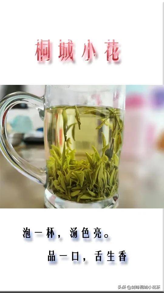 绿茶泡多久(绿茶可以一直泡在杯子里吗)-第2张图片