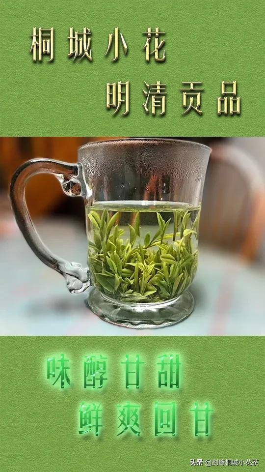 绿茶泡多久(绿茶可以一直泡在杯子里吗)-第3张图片