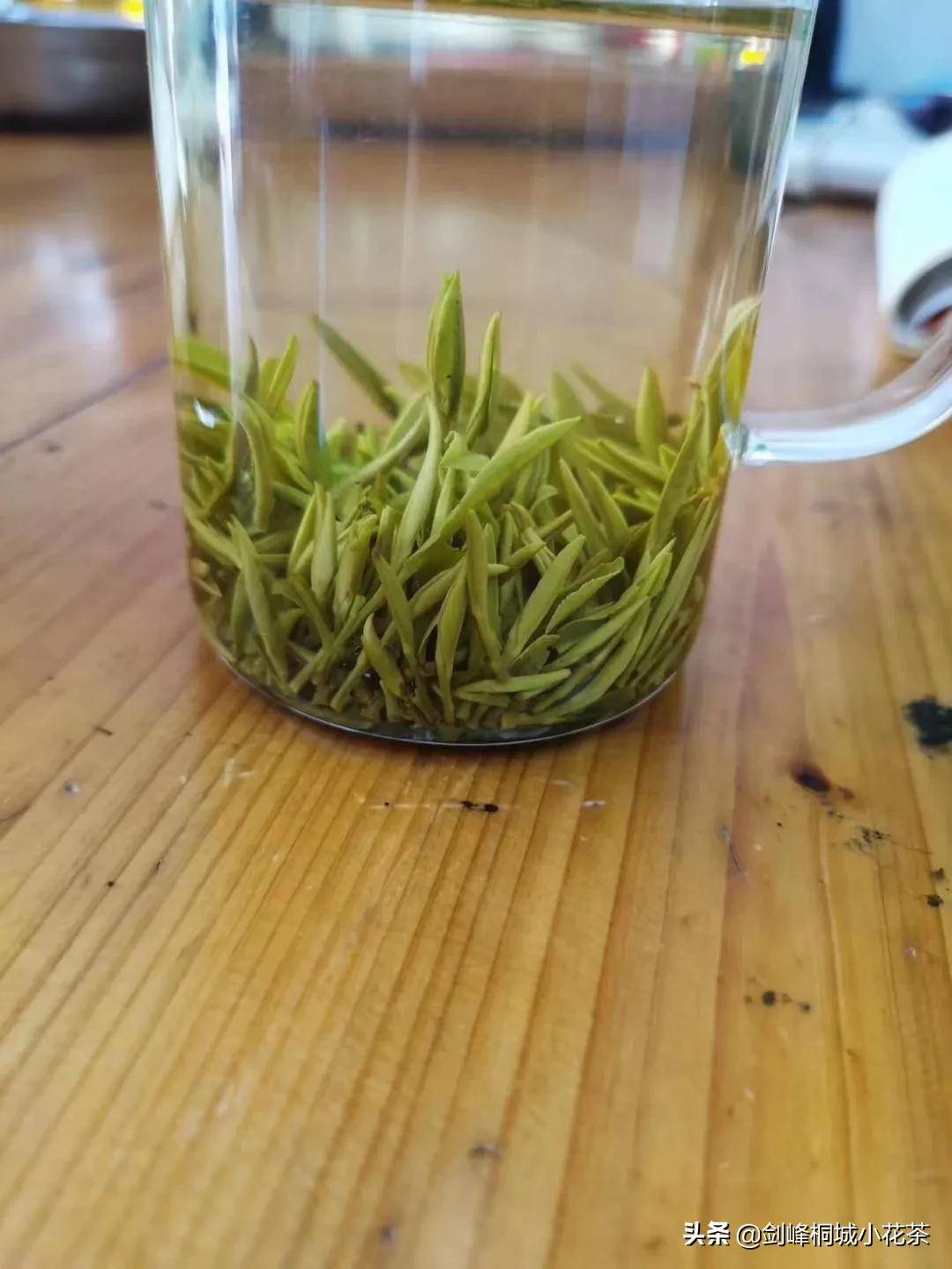 绿茶泡多久(绿茶可以一直泡在杯子里吗)-第5张图片
