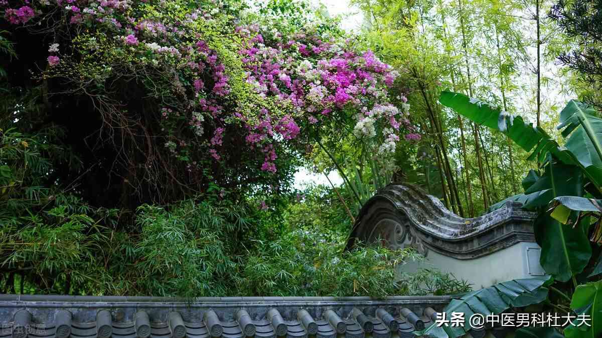 肾虚多久能恢复(一般补肾要多久才恢复)-第1张图片 肾虚多久能恢复(一般补肾要多久才恢复)-第1张图片