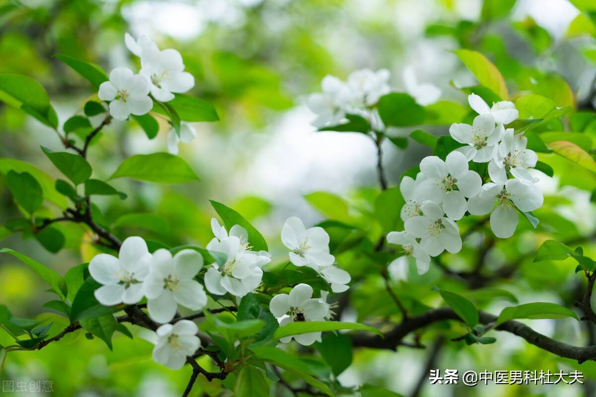 肾虚多久能恢复(一般补肾要多久才恢复)-第2张图片 肾虚多久能恢复(一般补肾要多久才恢复)-第2张图片