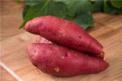 农业专家用牵牛花嫁接出空中红薯-嫁接蔬菜是转基因吗-第1张图片